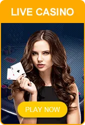 Live Casino