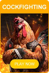 Cockfighting (eSabong)
